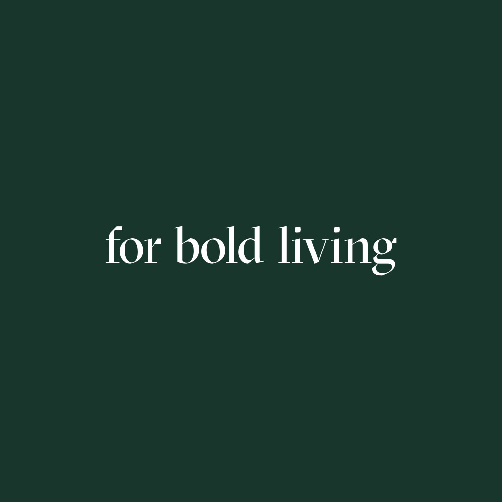 King-George_Mud_Graphic-branding_01