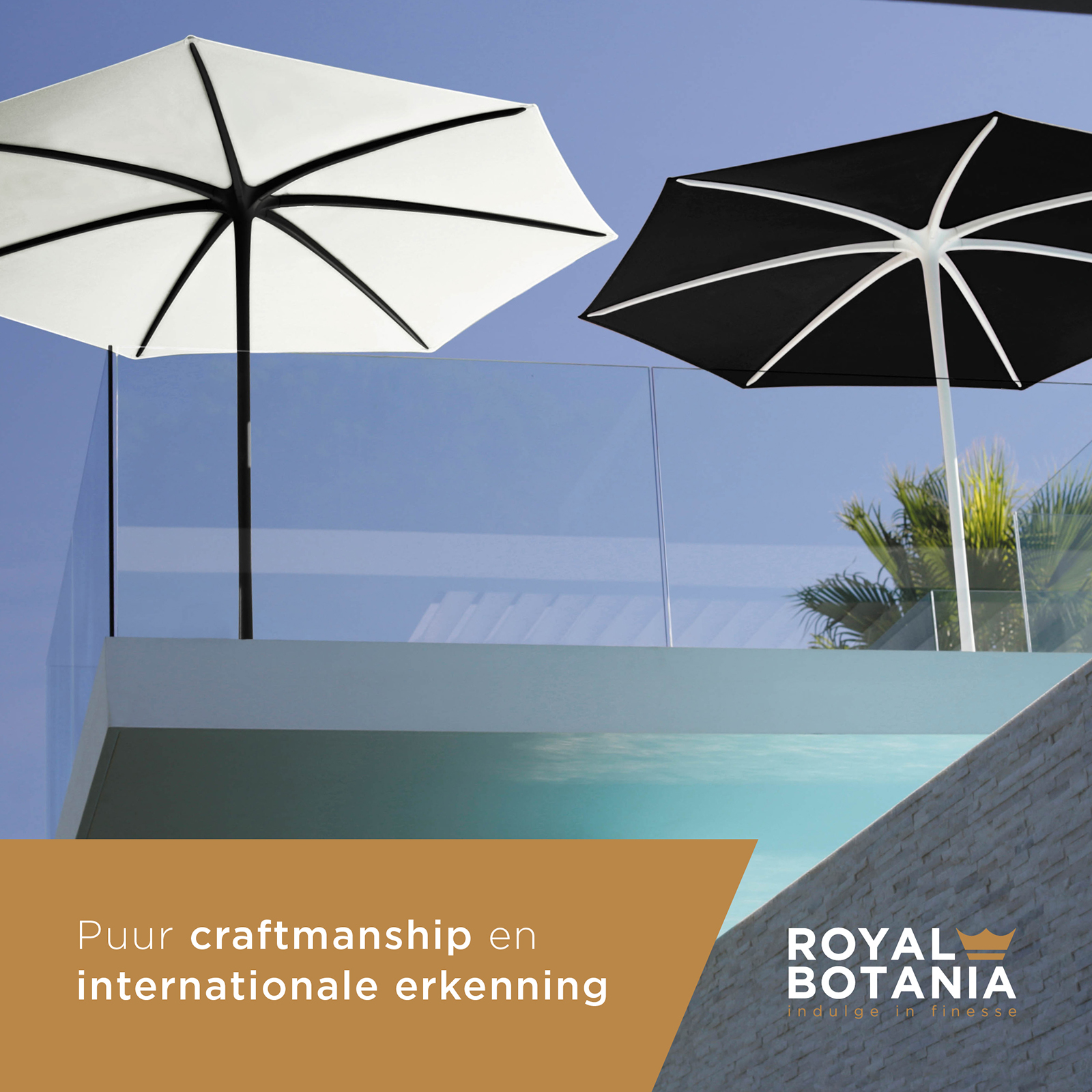 King-George_RoyalBotania_SocialContent_project_03