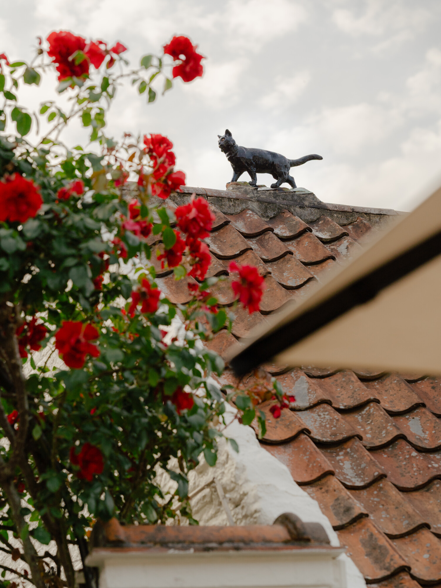 KingGeorge_AubergeDuPecheur_10-06-2025_0104